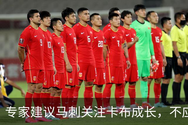 专家建议马刺关注卡布成长，不应仅依赖哈里斯