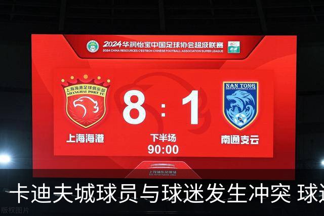卡迪夫城球员与球迷发生冲突 球迷遭驱逐无辜者受罚