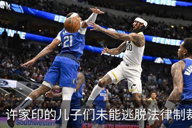 许家印的儿子们未能逃脱法律制裁，恒大歌舞团再度引发热议